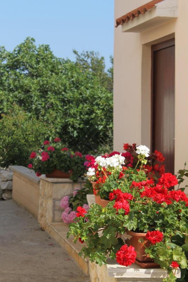 Apartments By The Sea Veli Rat, Dugi Otok - 436 Buitenkant foto